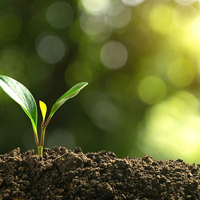Why Every Day Is Earth Day at Good360