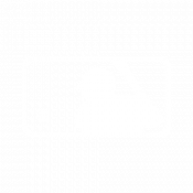 MLB (White)