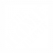 The Home Depot (White)