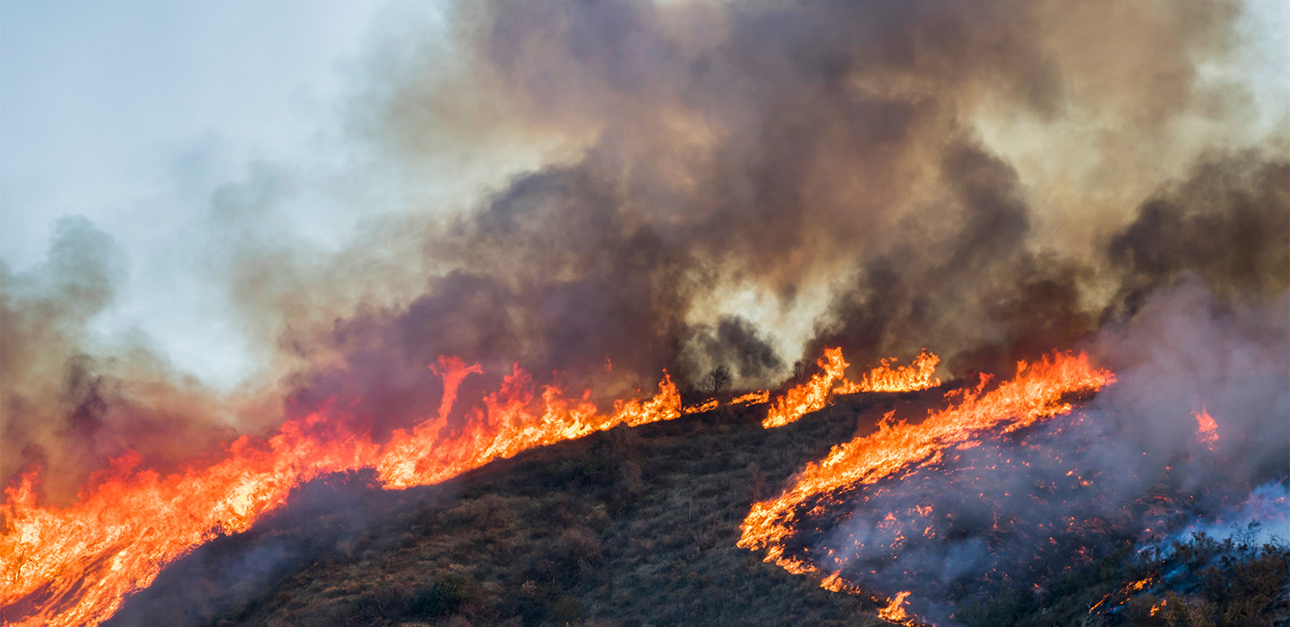 Wildfire burning along a hillside during an active wildfire relief response